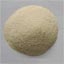 supply Wheat protein concentrate (feed grade)